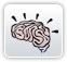 Brain
